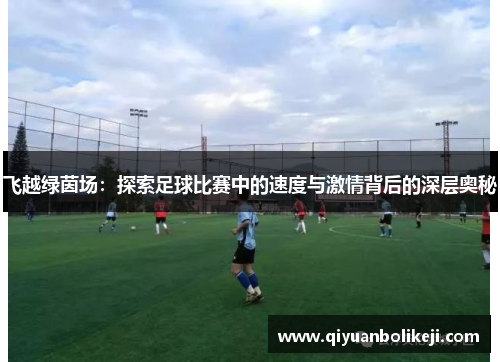 飞越绿茵场：探索足球比赛中的速度与激情背后的深层奥秘